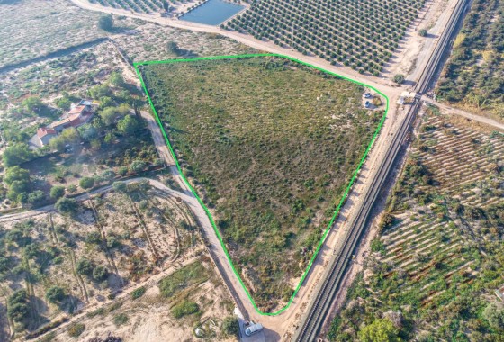 Revente - Country land - Crevillent - Comunidad valenciana