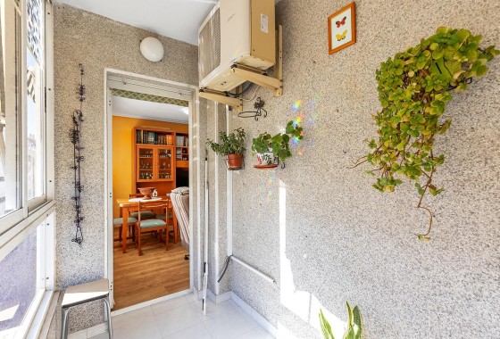 Revente - Appartement - Torrevieja - Estacion de autobuses