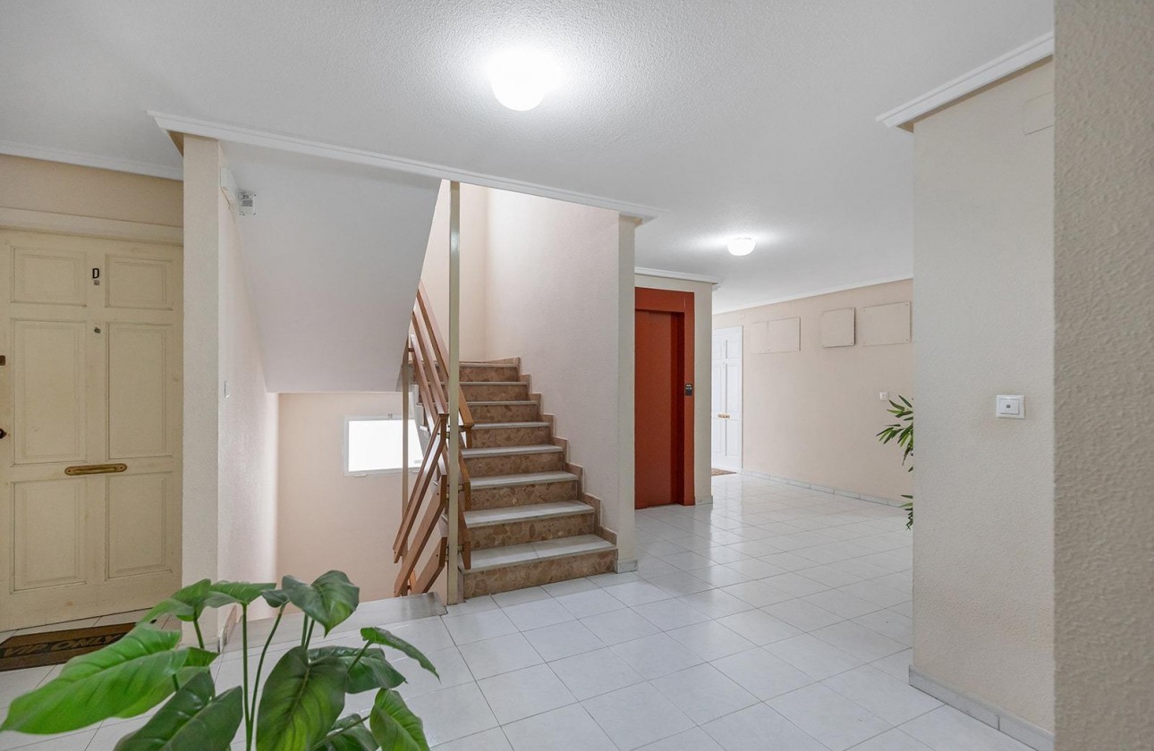 Revente - Appartement - Torrevieja - Estacion de autobuses