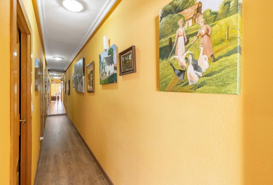 Revente - Appartement - Torrevieja - Estacion de autobuses