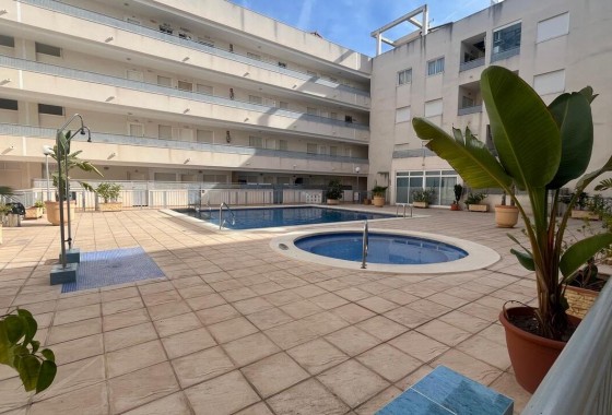 Reventa - Apartamento / piso - Almoradí