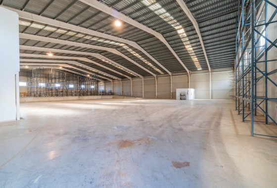Location à long terme - Industrial unit - Pilar de la Horadada - Polígono industrial Cañada de Práez