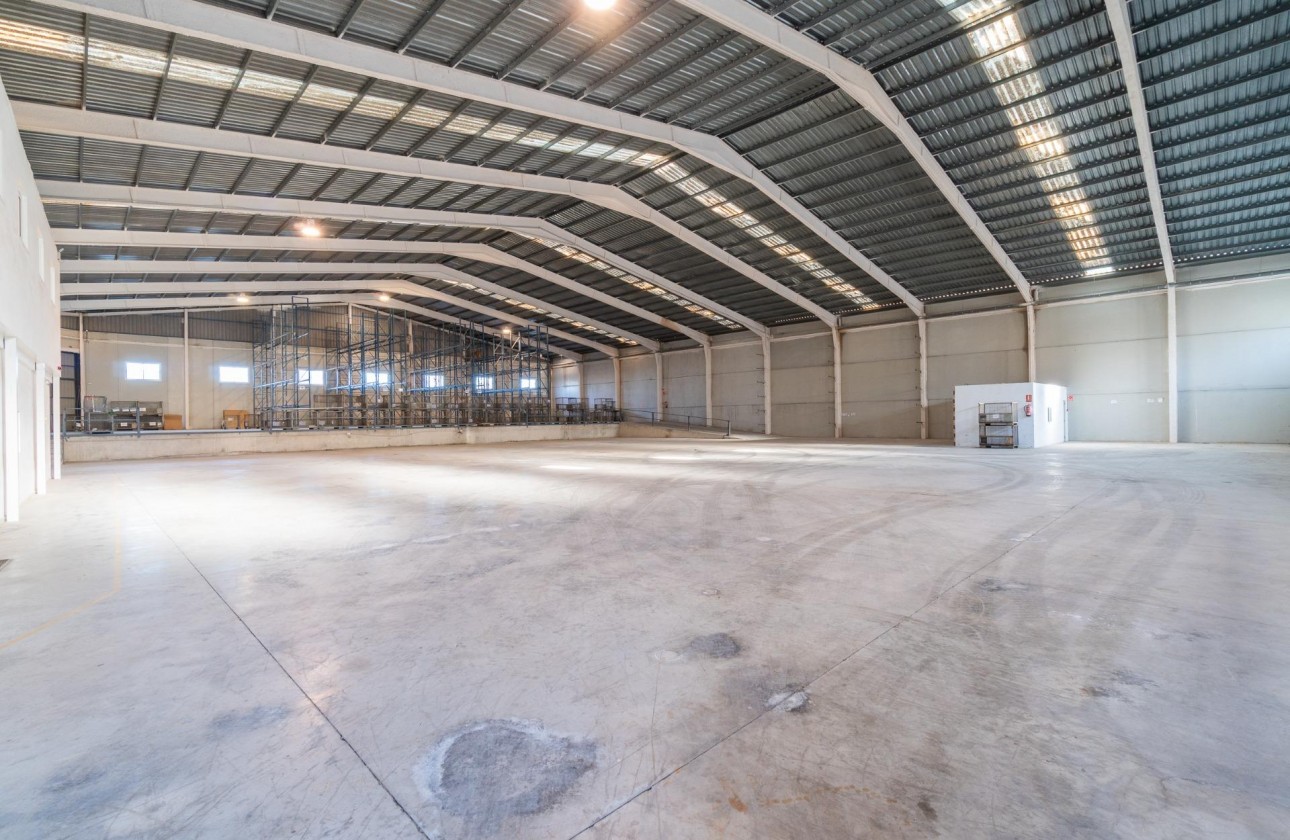 Location à long terme - Industrial unit - Pilar de la Horadada - Polígono industrial Cañada de Práez
