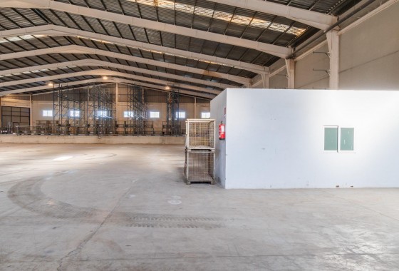 Location à long terme - Industrial unit - Pilar de la Horadada - Polígono industrial Cañada de Práez