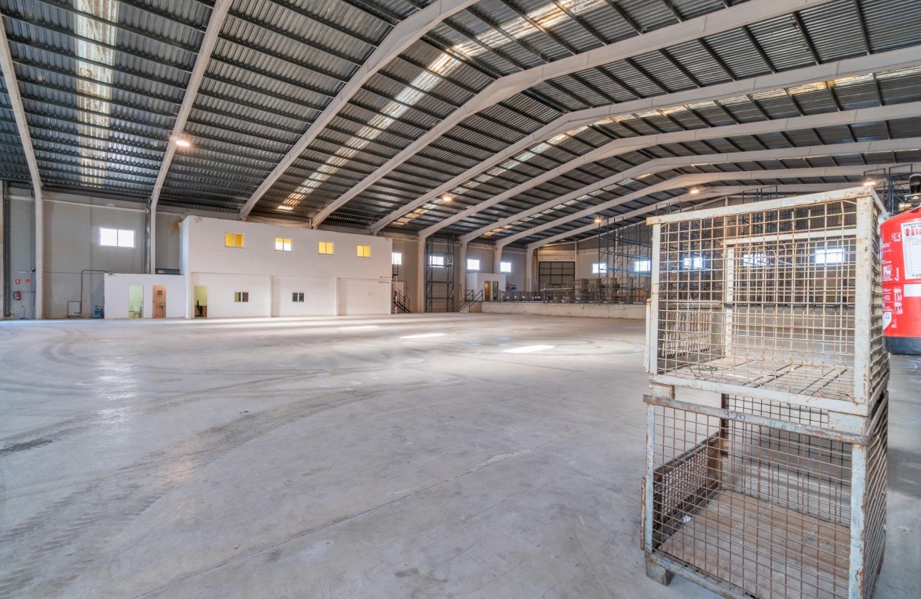 Location à long terme - Industrial unit - Pilar de la Horadada - Polígono industrial Cañada de Práez