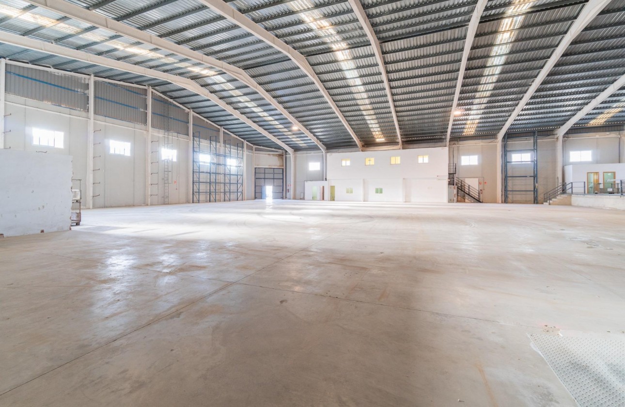 Location à long terme - Industrial unit - Pilar de la Horadada - Polígono industrial Cañada de Práez