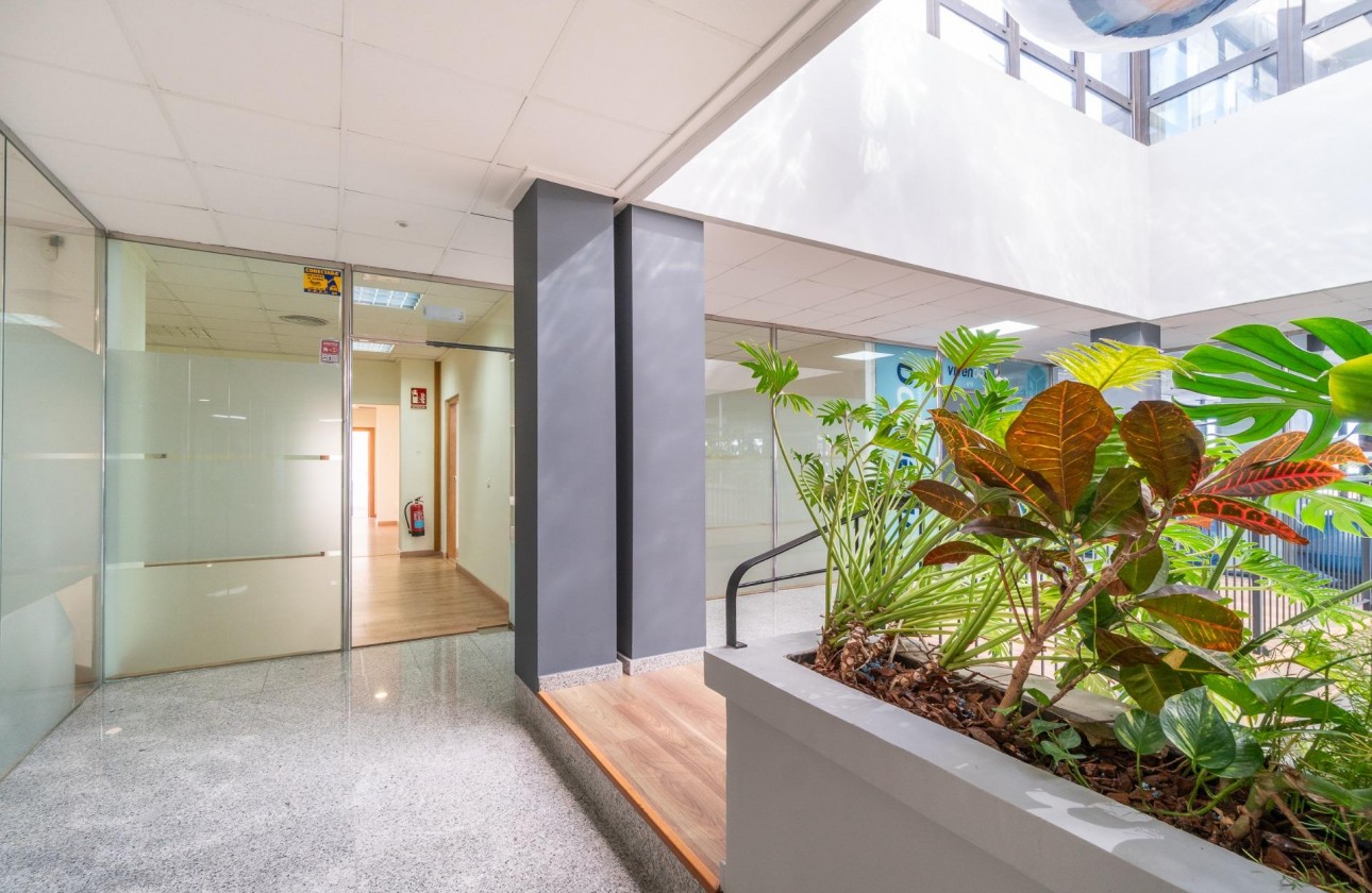 Location à long terme - Commercial - Orihuela Costa - Playa Flamenca