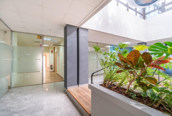 Location à long terme - Commercial - Orihuela Costa - Playa Flamenca