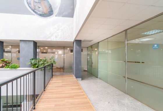 Location à long terme - Commercial - Orihuela Costa - Playa Flamenca