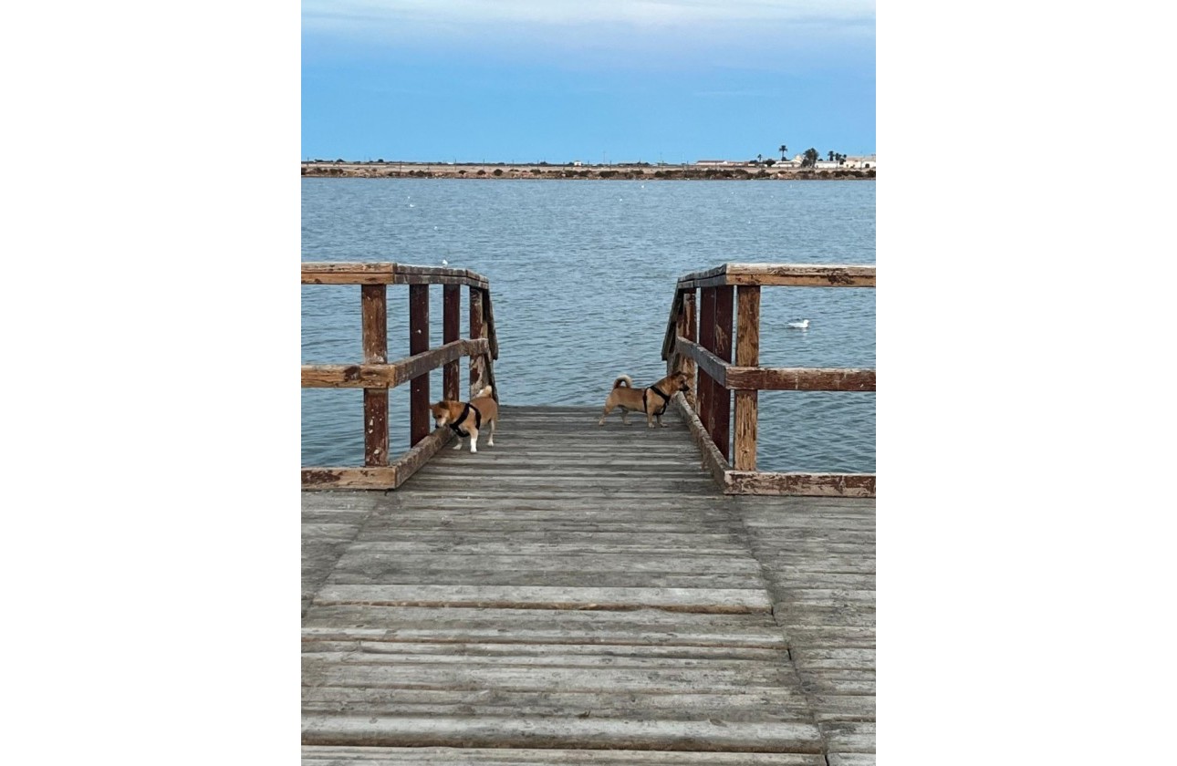 Resale - Villa - San Pedro del Pinatar - Los Antolinos