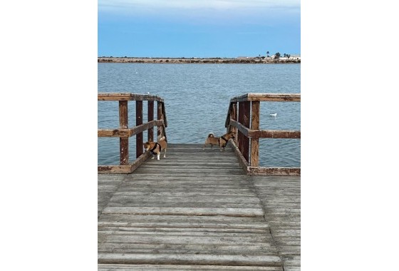 Resale - Villa - San Pedro del Pinatar - Los Antolinos