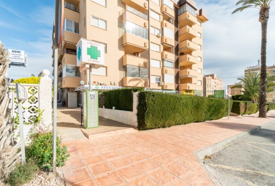 Location à long terme - Commercial - Orihuela Costa - La Zenia