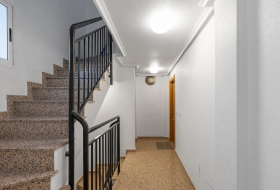 Revente - Appartement - Torrevieja - Paseo maritimo