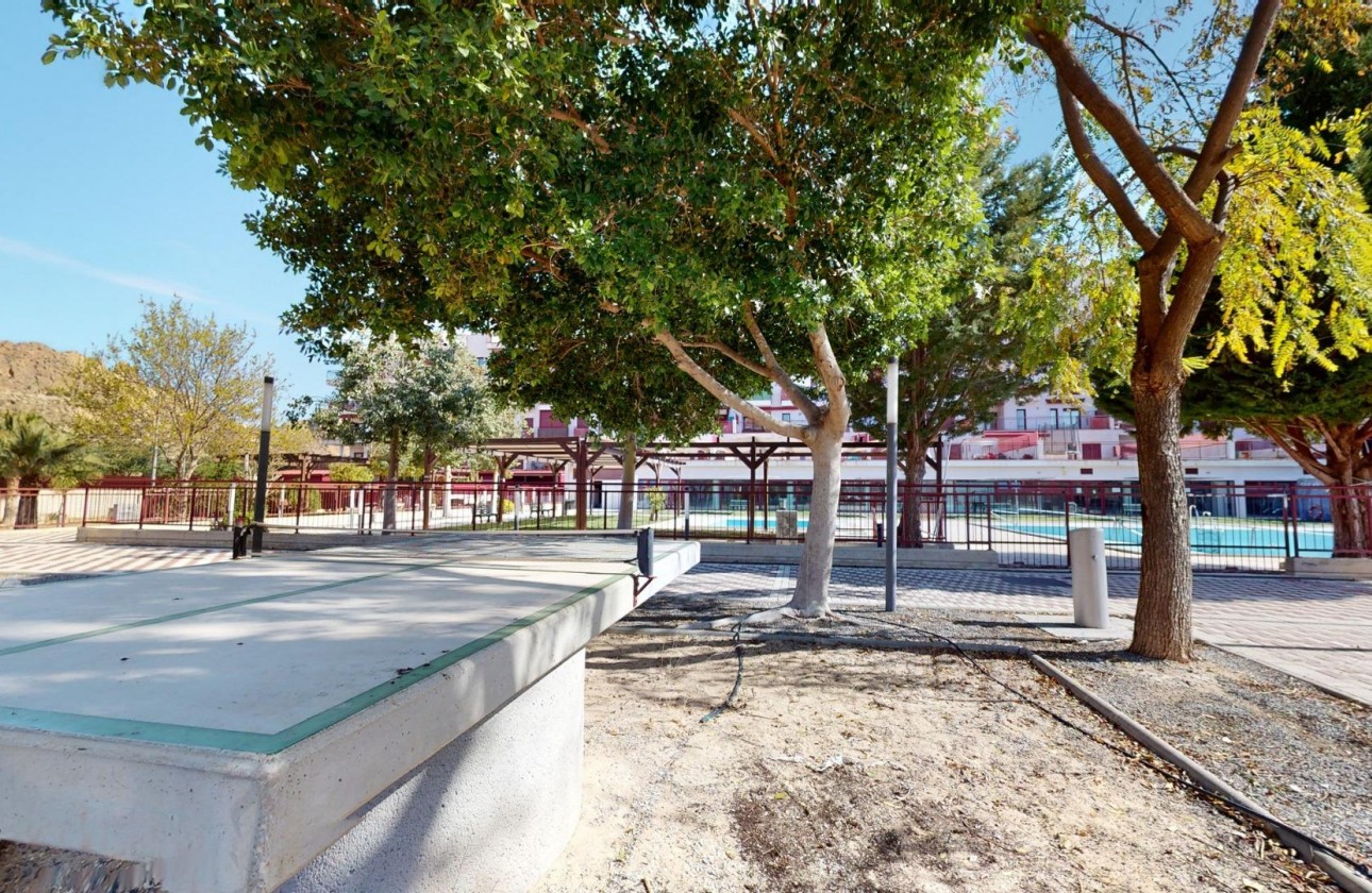 Nouvelle construction - Appartement - Archena - Villanueva del Rio Segura