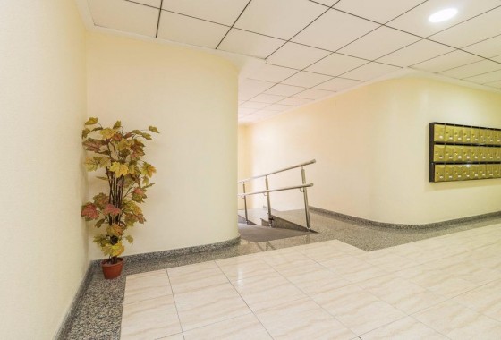 Revente - Appartement - Torrevieja - Centro