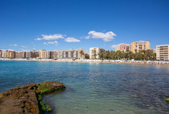Revente - Appartement - Torrevieja - Centro