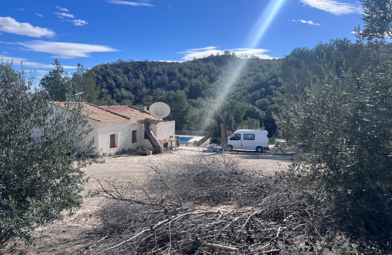 Resale - Country Property/Finca - Torremendo