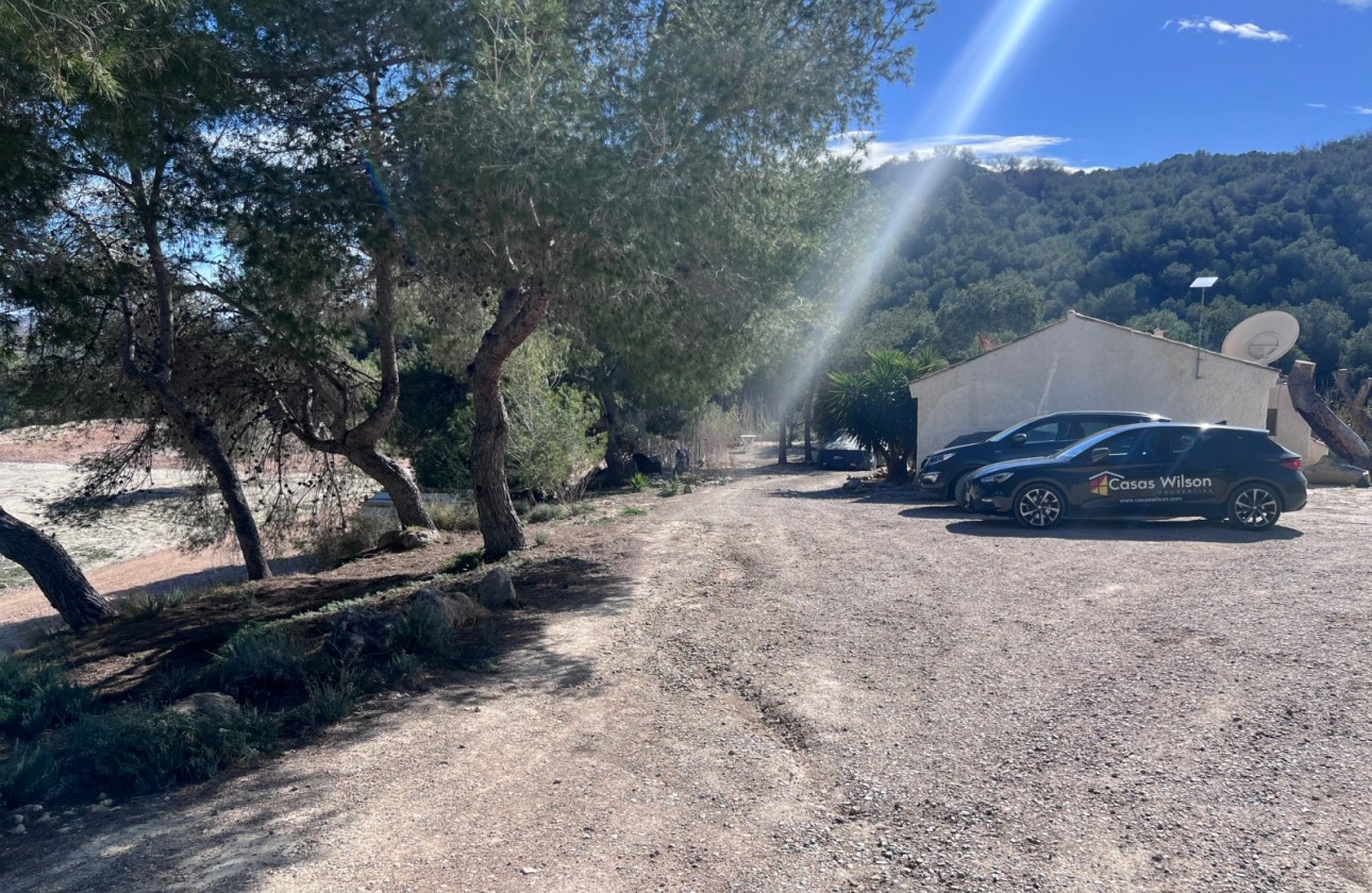 Resale - Country Property/Finca - Torremendo