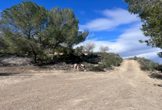 Resale - Country Property/Finca - Torremendo