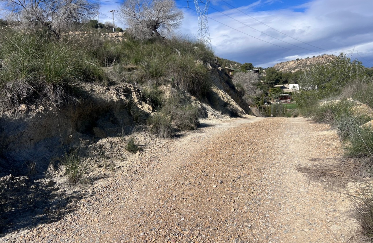 Resale - Country Property/Finca - Torremendo