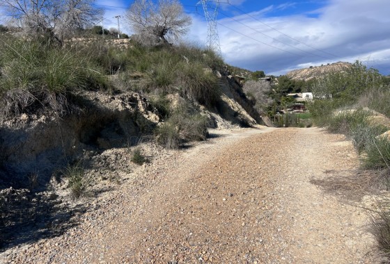 Resale - Country Property/Finca - Torremendo