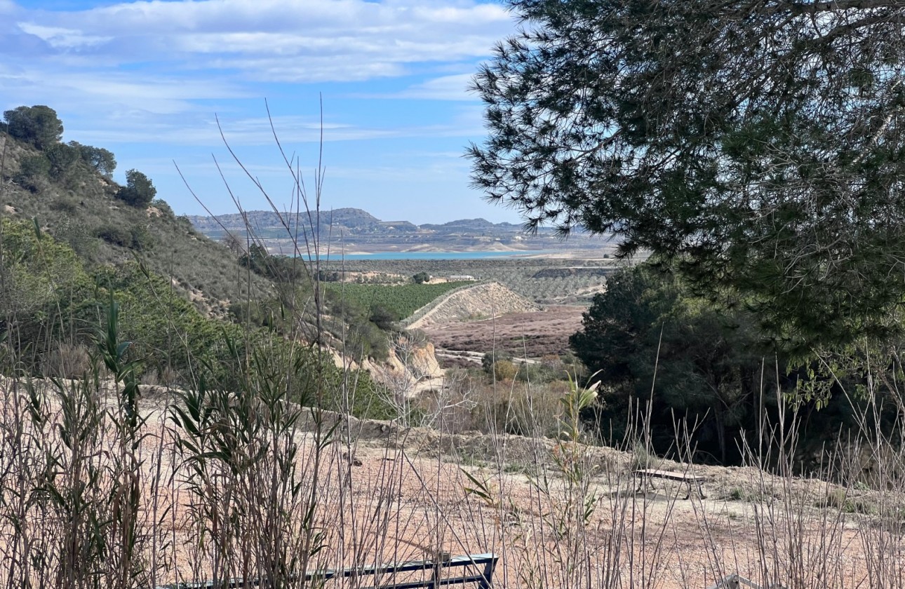 Resale - Country Property/Finca - Torremendo