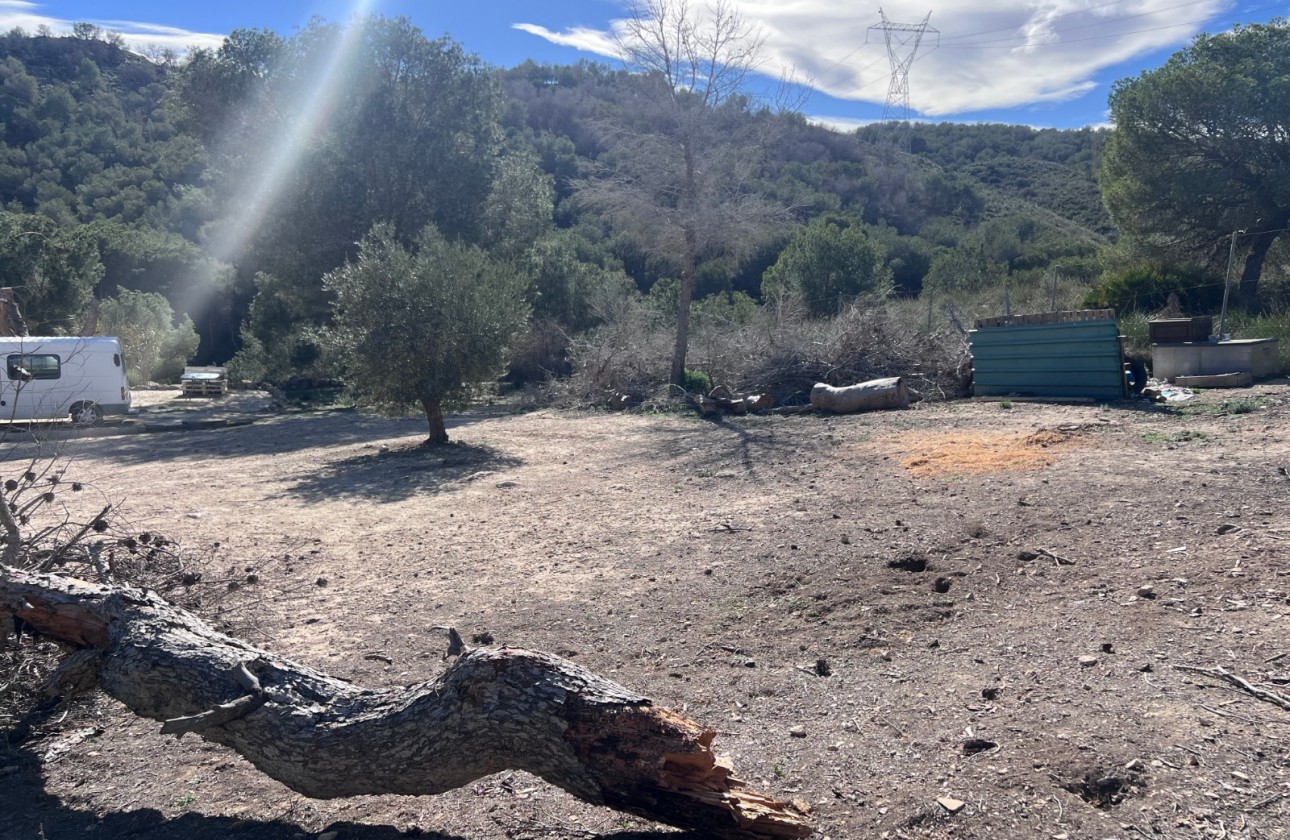 Resale - Country Property/Finca - Torremendo