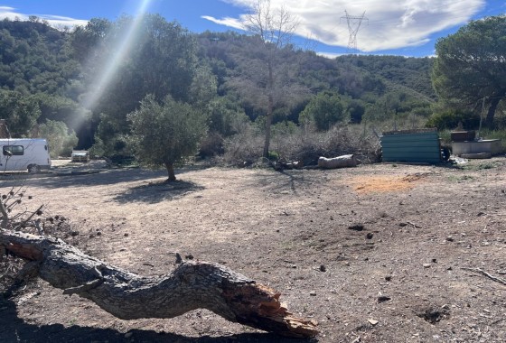 Resale - Country Property/Finca - Torremendo