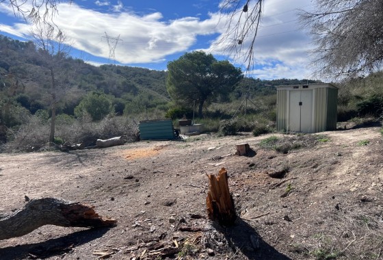 Resale - Country Property/Finca - Torremendo