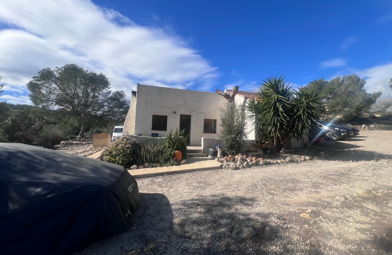 Resale - Country Property/Finca - Torremendo