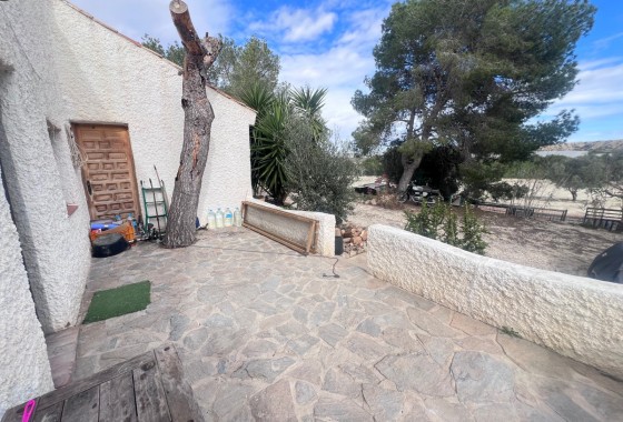 Resale - Country Property/Finca - Torremendo