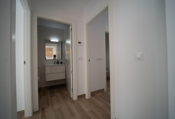 Nueva construcción  - Chalet - San Javier - Parque del doce