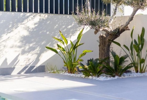 Reventa - Chalet - Algorfa