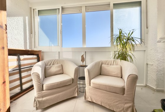 Reventa - Apartamento / piso - Torrevieja - Los Europeos