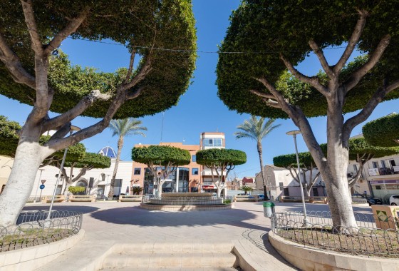 Nouvelle construction - Appartement - San Fulgencio - Pueblo