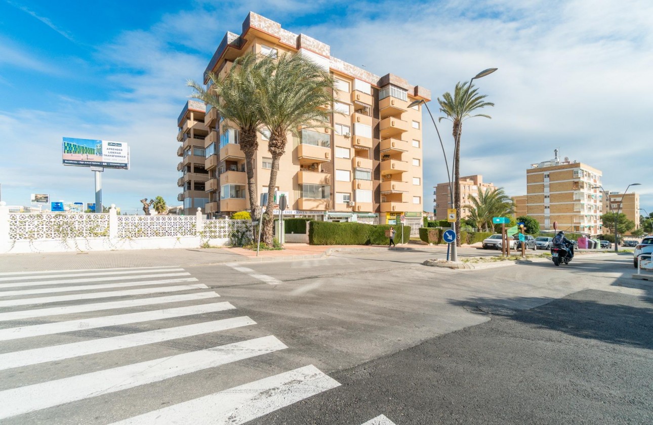 Alquiler a largo plazo - Comercial - Orihuela Costa - La Zenia