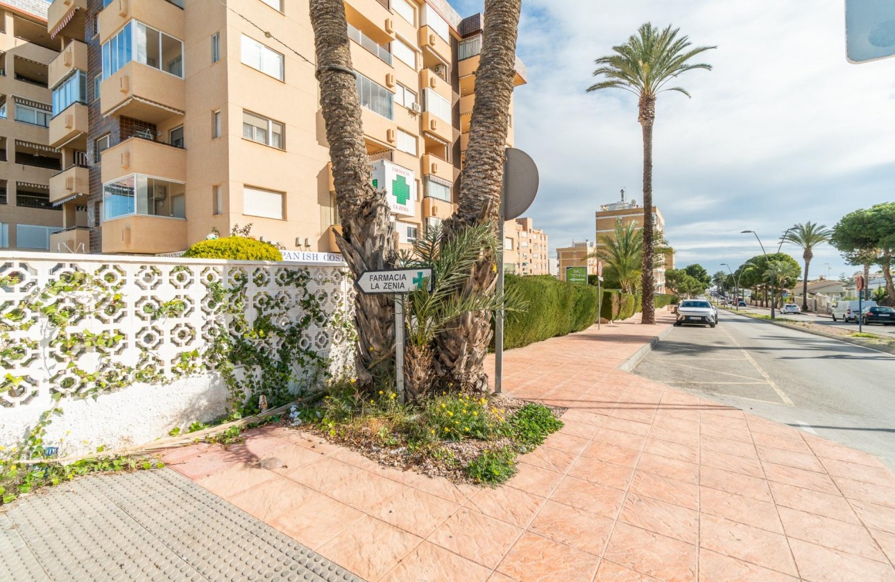 Alquiler a largo plazo - Comercial - Orihuela Costa - La Zenia