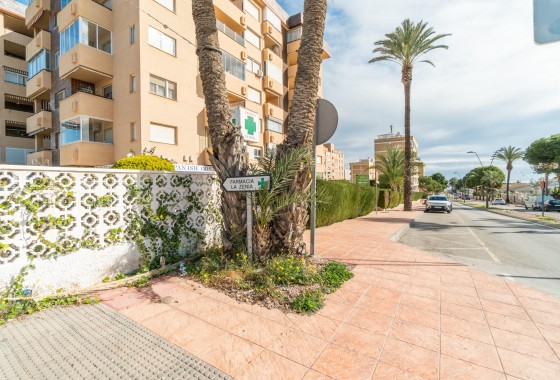 Alquiler a largo plazo - Comercial - Orihuela Costa - La Zenia