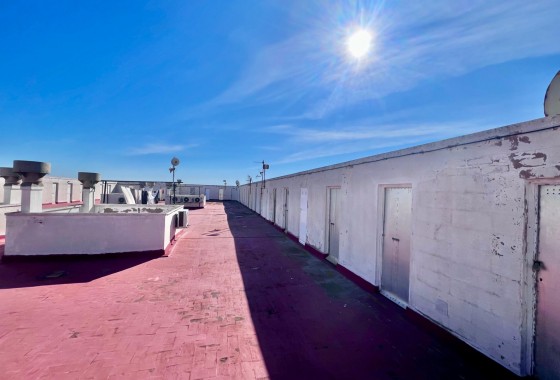 Revente - Appartement - Torrevieja - Punta prima