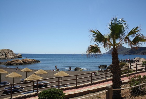 Nouvelle construction - Villa - La Union - centro