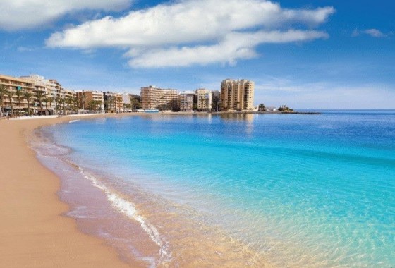 Nouvelle construction - Attique - Torrevieja - Centro
