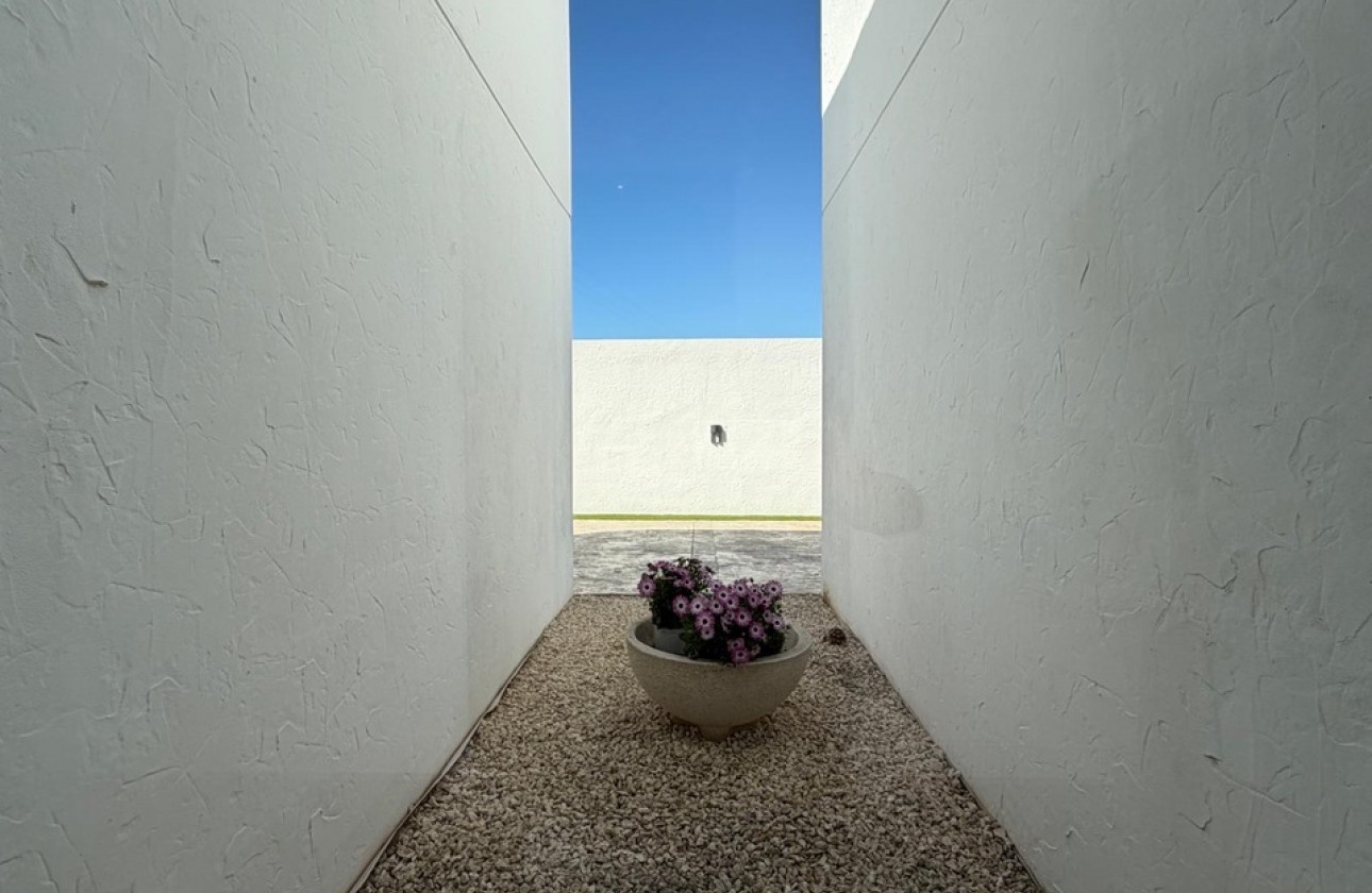 Reventa - Chalet - Algorfa