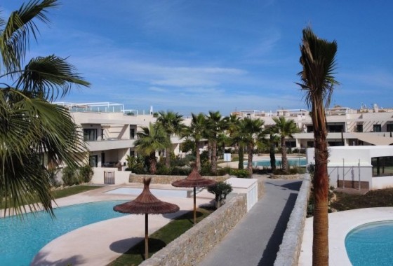 Revente - Appartement - Torrevieja - torrevieja