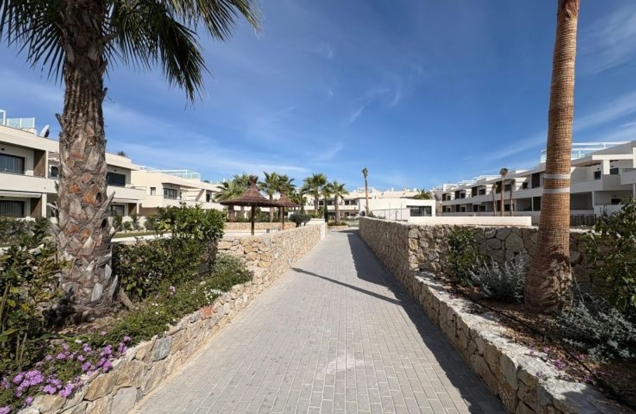 Revente - Appartement - Torrevieja - torrevieja