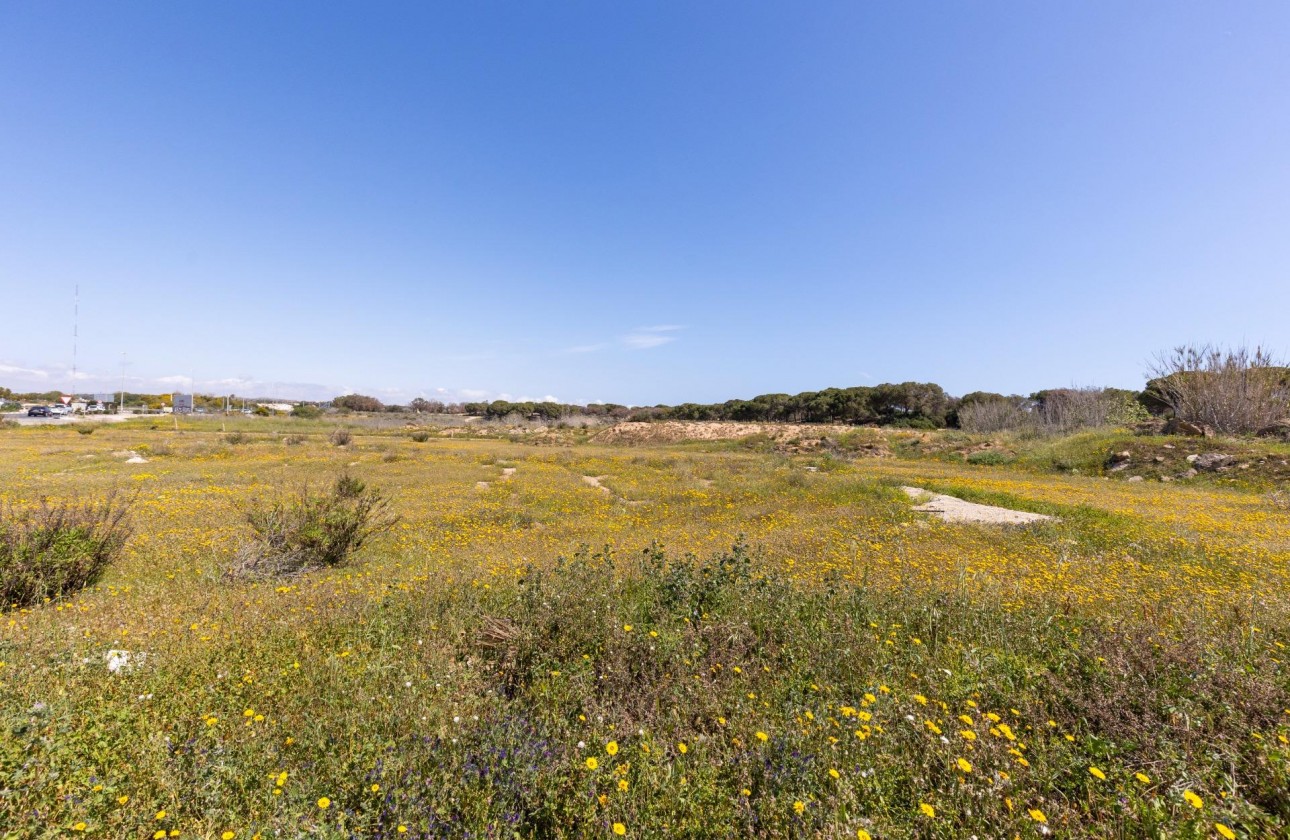 Revente - Bungalow - Guardamar del Segura - Urbanizaciones