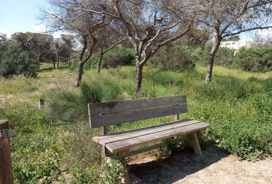 Revente - Bungalow - Guardamar del Segura - Urbanizaciones