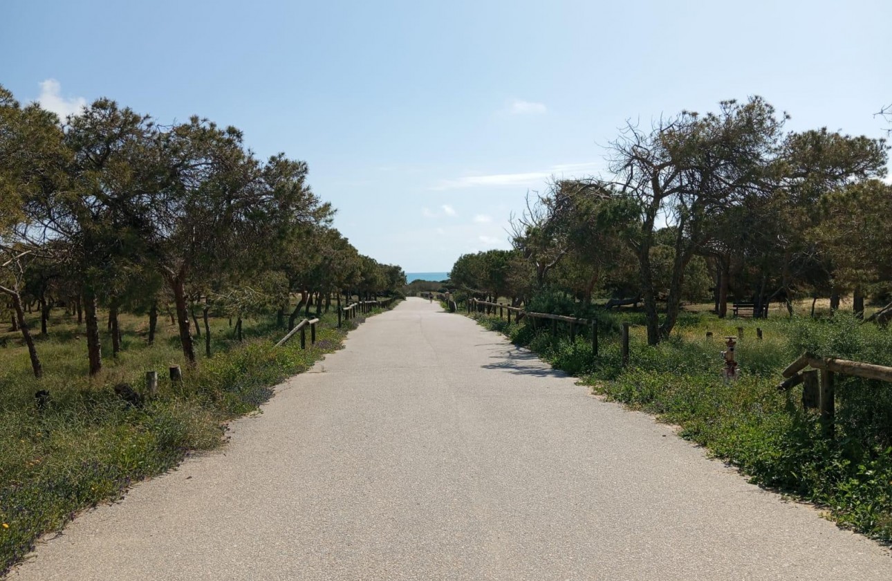 Revente - Bungalow - Guardamar del Segura - Urbanizaciones