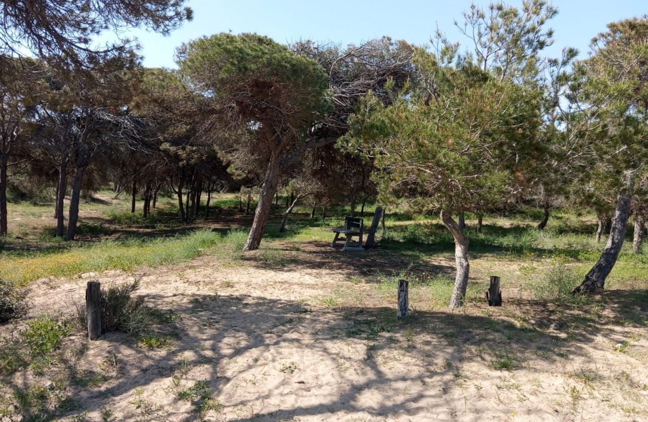 Revente - Bungalow - Guardamar del Segura - Urbanizaciones