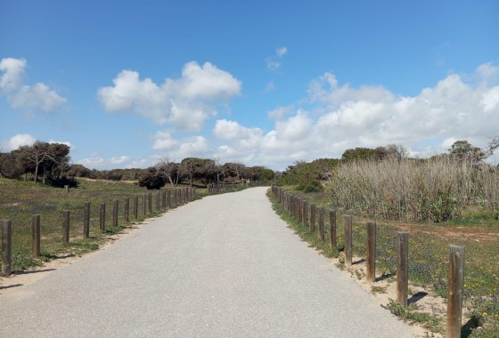 Revente - Bungalow - Guardamar del Segura - Urbanizaciones
