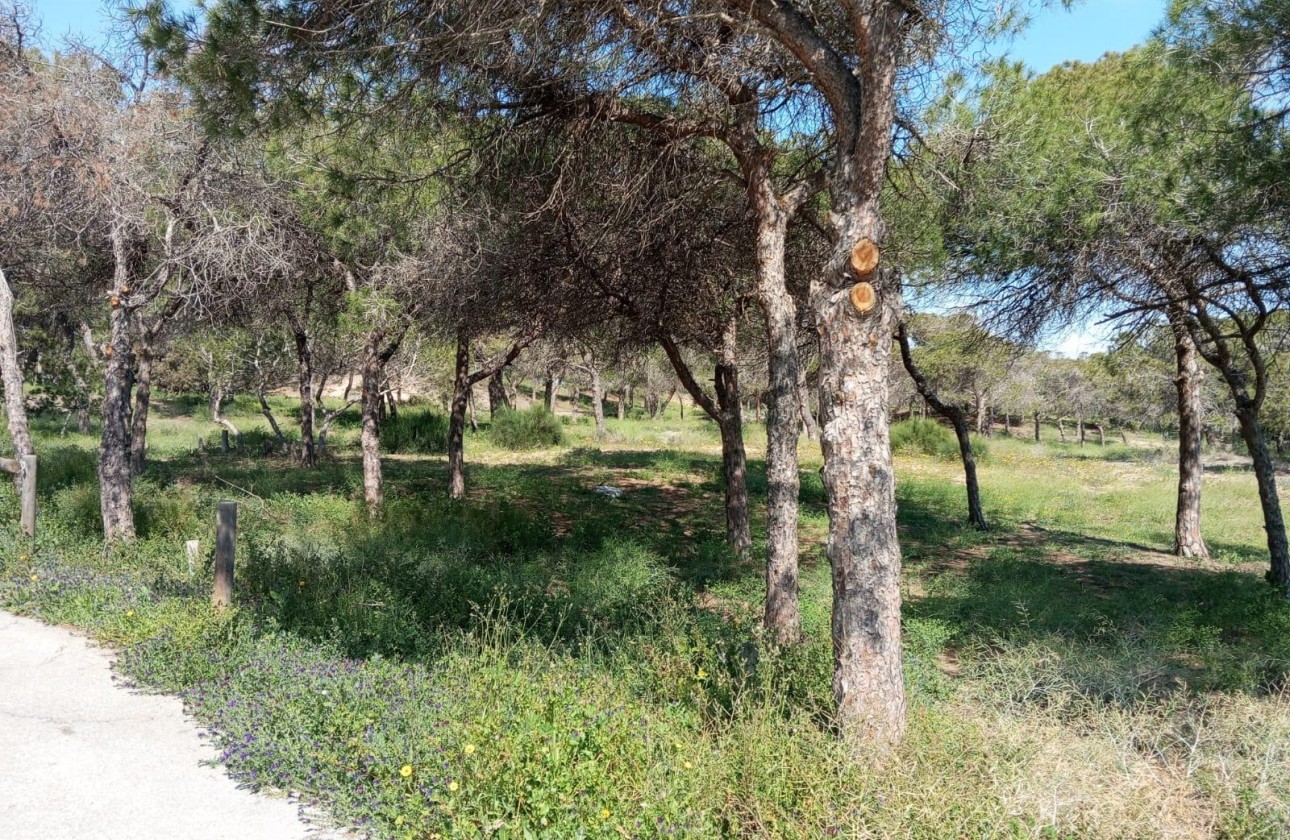 Revente - Bungalow - Guardamar del Segura - Urbanizaciones